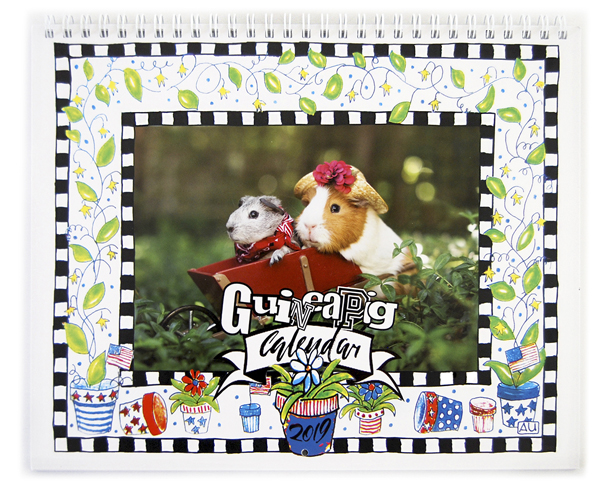Guinea Pig Calendar 2019